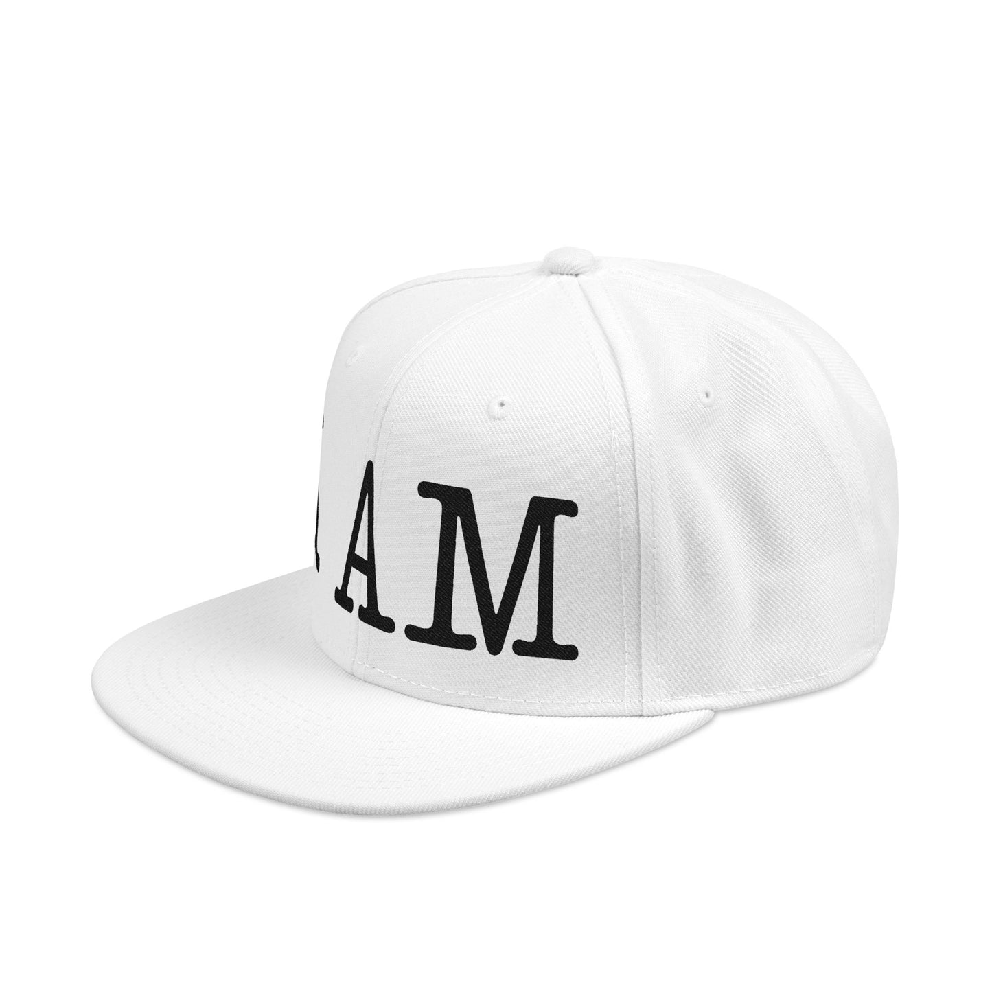 Embroidered Snapback Cap, Custom Dad Hat, Casual Streetwear, Unisex Fashion Accessory, Perfect Gift for Any Occasion